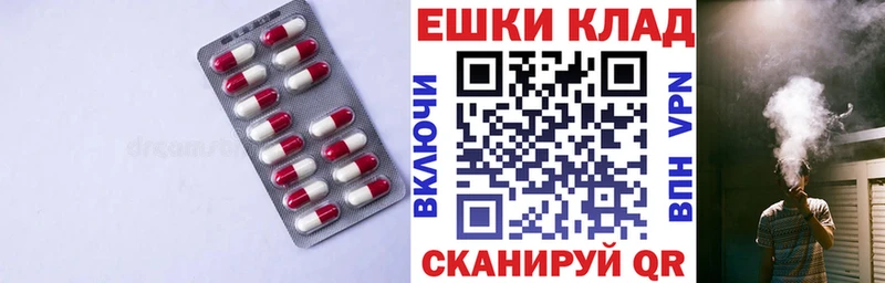 где купить   Бородино  ЭКСТАЗИ Cube 