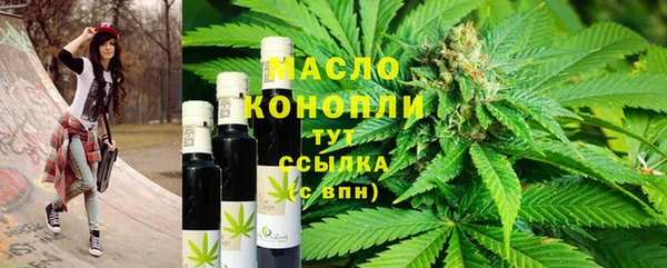 стаф Аркадак