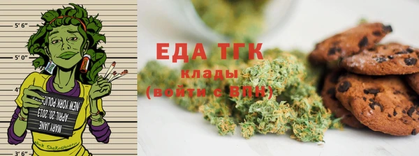 стаф Аркадак