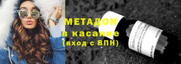 стаф Аркадак