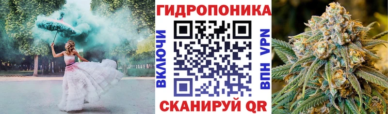 Бошки марихуана семена  мега онион  Бородино  как найти закладки 